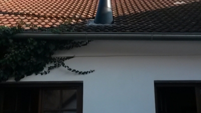 Nerezový komín Schiedel Permeter jako svislý kouřovod s funkcí komínu